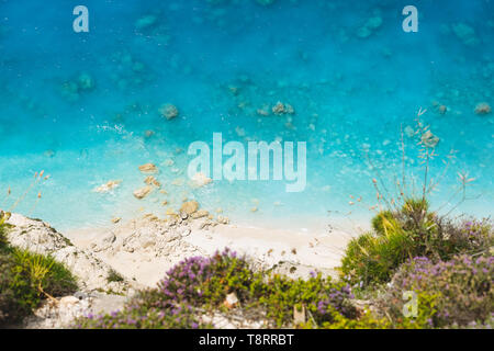 Vista aerea della sabbia spiaggia selvaggia con acqua chiara. Fioritura di timo selvatico sul bordo della scogliera e splendida spiaggia sfondo Foto Stock