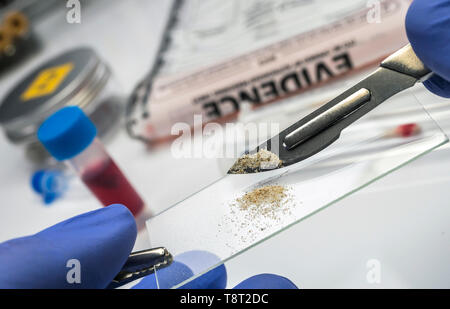 Esperto di polizia esamina la sabbia dalla scena di un crimine nel supporto per microscopio Foto Stock