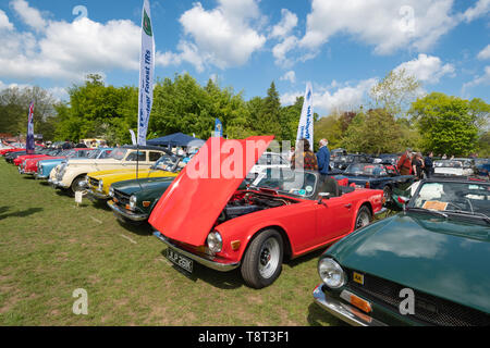 Classic Cars compresi trionfo TR auto d'epoca a Basingstoke Festival di trasporto Foto Stock