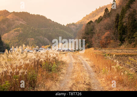 Stretta strada sterrata attraverso erbe secche che conduce al Giapponese piccolo villaggio agricolo Foto Stock