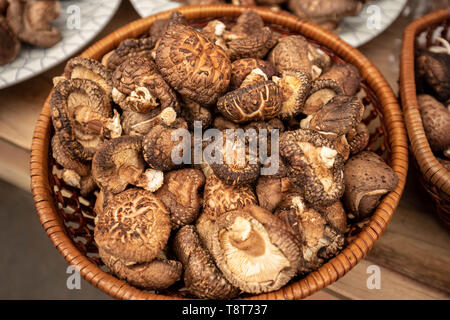 Cesto di appena raccolto funghi shiitake Foto Stock