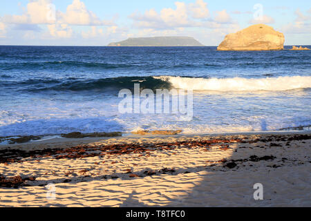 Pointe des Chateaux e Desirade isola al tramonto, Guadalupa, isole dei Caraibi, Francia Foto Stock