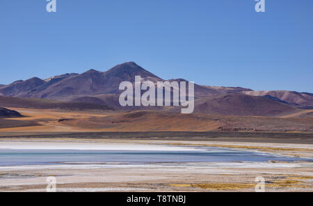 Paesaggio presso il Salar Aguas Calientes, il Deserto di Atacama, Cile Foto Stock