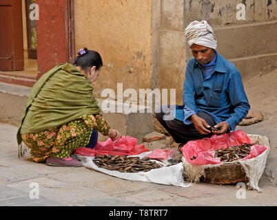 Venditore ambulante di vendita pesce essiccato per donna in abito tradizionale, Kathmandu, Nepal Foto Stock