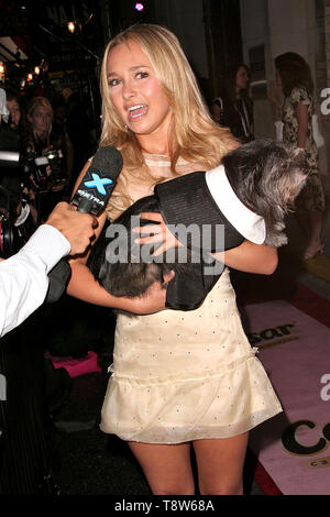 New York, Stati Uniti d'America. 11 Giugno, 2007. Hayden Panettiere presso la fiera degli animali rivista 8 zampe annuale per stile Celebrity Pet Fashion Show all'Arena. Credito: Steve Mack/Alamy Foto Stock
