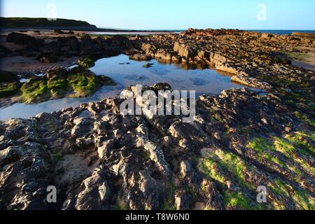 la costa magica del northumberland Foto Stock