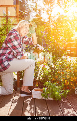 Senior donna giardinaggio in estate sulla terrazza Foto Stock