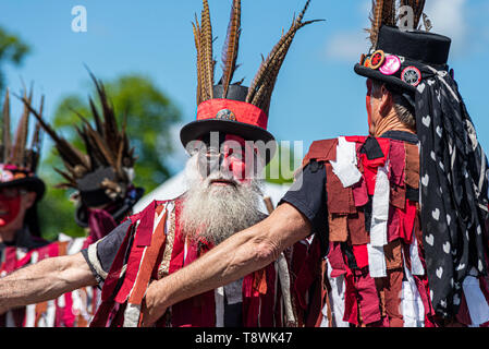 Dark Horse Border Morris, compagnia di ballo morris. Maldon ha basato i ballerini Morris in costume nero e rosso. Tradizionale danza Morris in stile confine Foto Stock