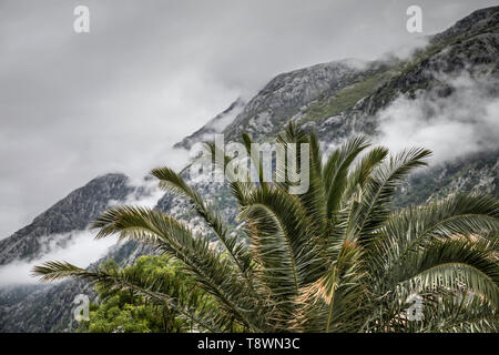 Montenegro, Maggio 2019 - nube formando una fitta nebbia scendendo dalla montagna fino alla Baia di Kotor Foto Stock