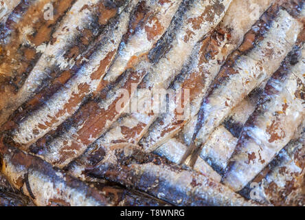 Sfondo di sardine sotto sale
