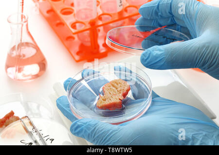 Carne coltivate rendendo immagine, lab cresciuto il concetto di carne Foto Stock