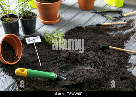 Pentole con erbe aromatiche fresche, suolo e attrezzature da giardinaggio sul tavolo di legno Foto Stock