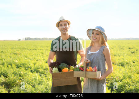 Gli agricoltori con verdure raccolte in campo Foto Stock