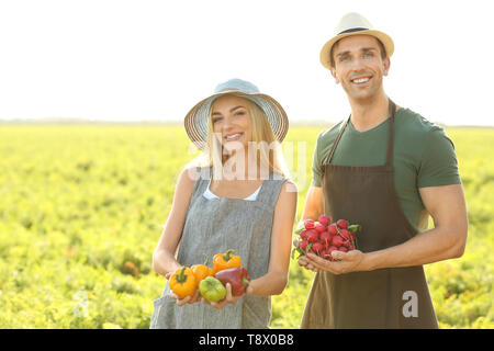 Gli agricoltori con verdure raccolte in campo Foto Stock