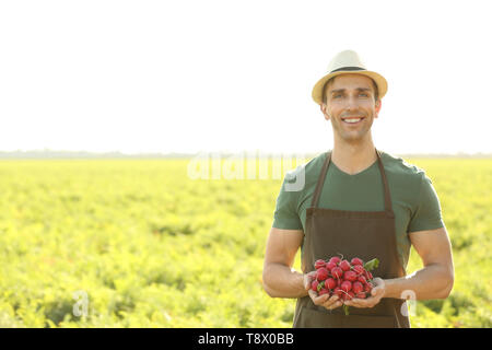 L'agricoltore maschio con rafano riuniti nel campo Foto Stock