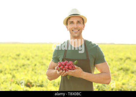 L'agricoltore maschio con rafano riuniti nel campo Foto Stock