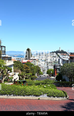 San Francisco: Guardando giù il famoso crooked Lombard Street verso la Collina del Telegrafo. Foto Stock