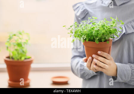 Donna che mantiene la pentola con origano fresco, primo piano Foto Stock