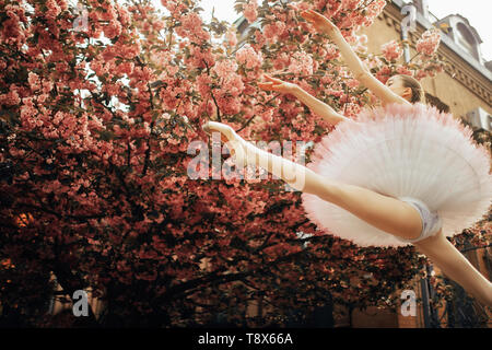 Ballerina jumping in spago pongono vestito in un bel tutu contro lo sfondo della fioritura sakura gli alberi del parco. Vista dal basso. Foto Stock