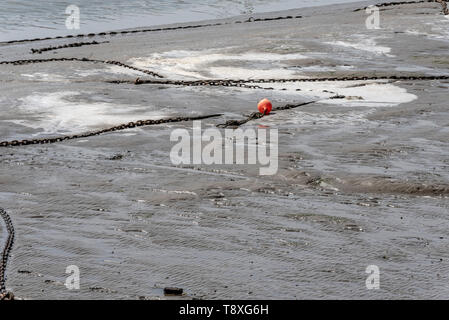 Una spiaggia popolare per i bagnanti a Leigh on Sea vicino Southend, Essex, è stata dichiarata non sicura a causa della presenza di batteri e-coli e enterocci intestinali, più comunemente presenti nelle feci. Il Consiglio di Southend installerà i cartelli "Advice against swimming" intorno a Bell Wharf, mentre si svolgeranno delle indagini per accertare la causa della contaminazione e intraprendere azioni a fianco dell'Agenzia per l'ambiente e dell'acqua di Anglian, ma gli unici segnali visibili indicano alle persone che stanno entrando in una spiaggia premiata. Scum Foto Stock