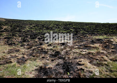 Marsden Moor, Greater Manchester, UK. Il 15 maggio 2019. Regno Unito Meteo: Fire danneggiato moorlands su Marsden Moor station wagon, Greater Manchester, Regno Unito. Credito: Barbara Cook/Alamy Live News Foto Stock