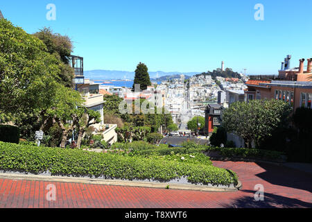 San Francisco: Guardando giù il famoso crooked Lombard Street verso la Collina del Telegrafo. Foto Stock