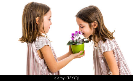 Gemello ragazza è odore di fiori - dono dalla sorella. Bambina bambino è un dono o presente di fiori a sua sorella. Vista di profilo, studi Foto Stock