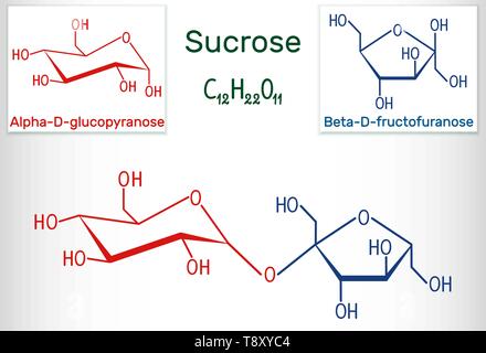 Saccarosio molecola di zucchero. Formula chimica di struttura e la molecola modello. Illustrazione Vettoriale Illustrazione Vettoriale