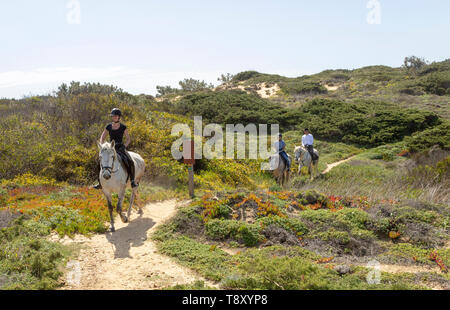 Tre persone pony trekking sul Sentiero costiero, il Fisherman's Trail di Rota Vicentina, Odeceixe, Algarve, Portogallo, Europa meridionale Foto Stock