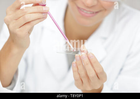 Femmina laboratorio microbiologico Foto Stock