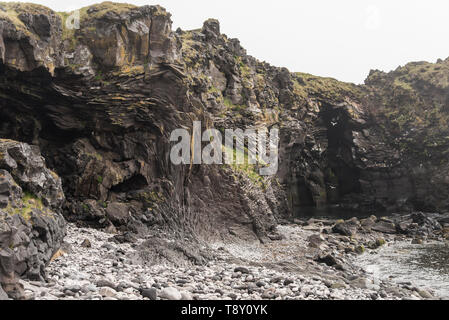 Uccelli nidificanti intorno Badstofa Foamation Rock in Hellnar, Islanda Foto Stock
