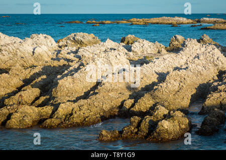 Limstone rock sulla riva a Kaikoura, Isola del Sud, Nuova Zelanda Foto Stock