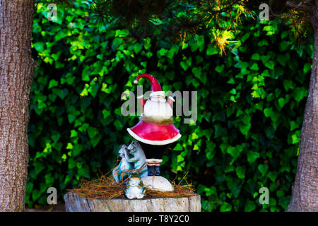 Santa ornamento tifo concetto con le rane in un giardino Foto Stock