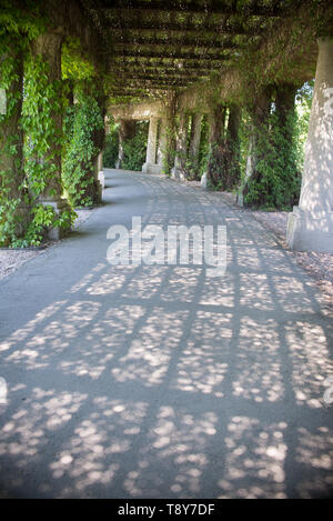 All'interno del parco Pergola a Wroclaw in Polonia Foto Stock