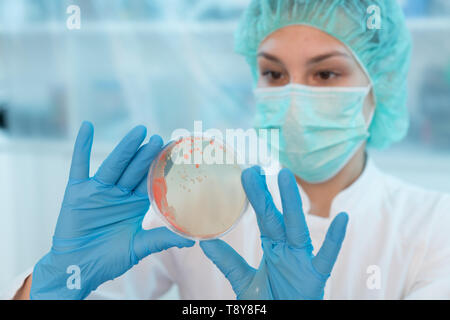 Donna scienziato analizzando in capsule di Petri in laboratorio- Foto Stock