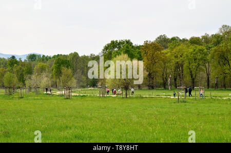 Venaria, Piemonte, Italia. Aprile 2019. Il percorso si snoda attraverso il parco tra prati e alberi. La gente passeggia e godetevi il relax nella natura. Foto Stock