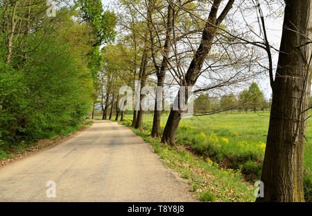 Venaria, Piemonte, Italia. Aprile 2019. Il percorso si snoda attraverso il parco tra prati e alberi. La gente passeggia e godetevi il relax nella natura. Foto Stock