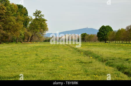 Venaria, Piemonte, Italia. Aprile 2019. Vista dal parco sullo sfondo la reggia di Venaria e sulle colline di Torino, la Basilica di Superga. Foto Stock