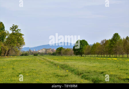 Venaria, Piemonte, Italia. Aprile 2019. Vista dal parco sullo sfondo la reggia di Venaria e sulle colline di Torino, la Basilica di Superga. Foto Stock