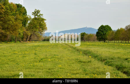 Venaria, Piemonte, Italia. Aprile 2019. Vista dal parco sullo sfondo la reggia di Venaria e sulle colline di Torino, la Basilica di Superga. Foto Stock