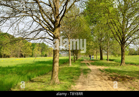 Venaria, Piemonte, Italia. Aprile 2019. Il percorso si snoda attraverso il parco tra prati e alberi. La gente passeggia e godetevi il relax nella natura. Foto Stock