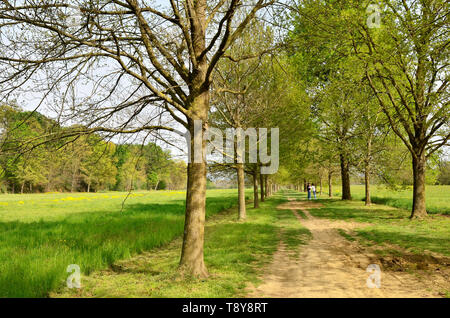 Venaria, Piemonte, Italia. Aprile 2019. Il percorso si snoda attraverso il parco tra prati e alberi. La gente passeggia e godetevi il relax nella natura. Foto Stock