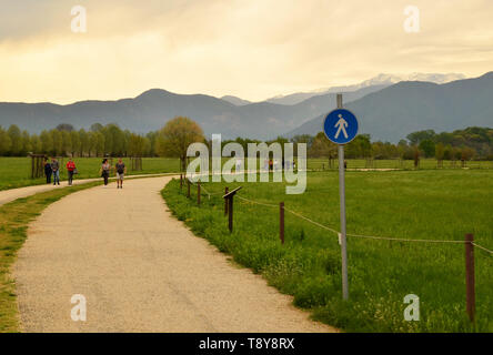 Venaria, Piemonte, Italia. Aprile 2019. Il percorso si snoda attraverso il parco tra prati e alberi. La gente passeggia e godetevi il relax nella natura. Foto Stock