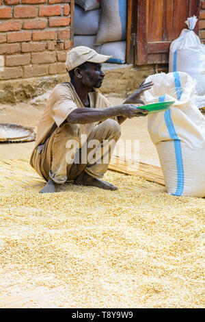 Uomo malawiana scooping granturco in un sacco, Dedza, Malawi Foto Stock