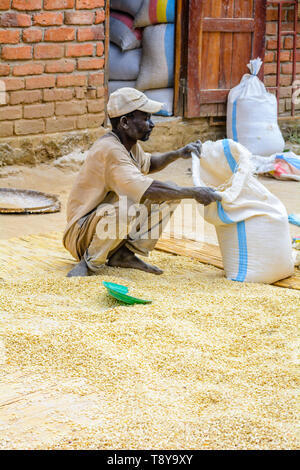 Uomo malawiana scooping granturco in un sacco, Dedza, Malawi Foto Stock