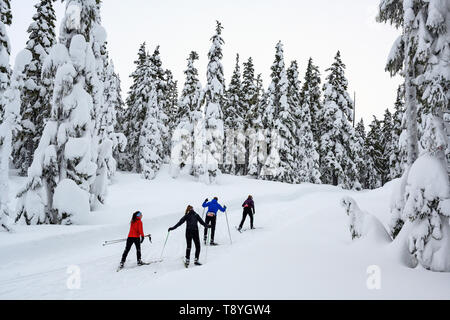 Nordic (Cross Country) sciatori, Mount Washington (Courtenay), l'isola di Vancouver, BC Canada Foto Stock