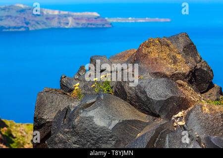 Santorini, Grecia panorama con grande pietra vulcanica rock e caldera, mare, fiori e isola di Vulcano sullo sfondo Foto Stock