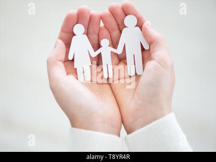 Carta famiglia in mani Foto Stock