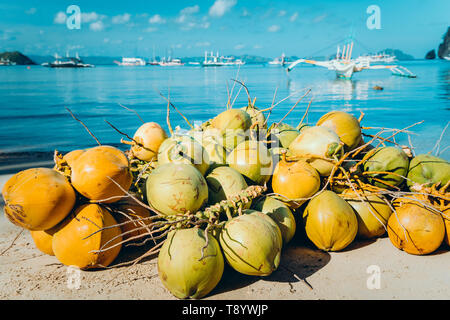 Ramo di frutti di noce di cocco sul corong corong spiaggia di El Nido, PALAWAN FILIPPINE. Foto Stock