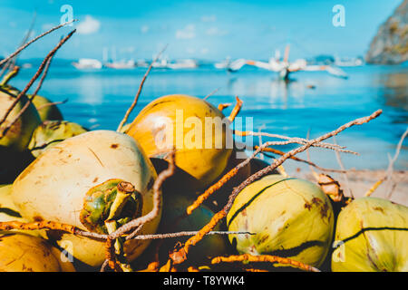 Close up di frutti di noce di cocco sul corong corong spiaggia di El Nido, PALAWAN FILIPPINE. Foto Stock